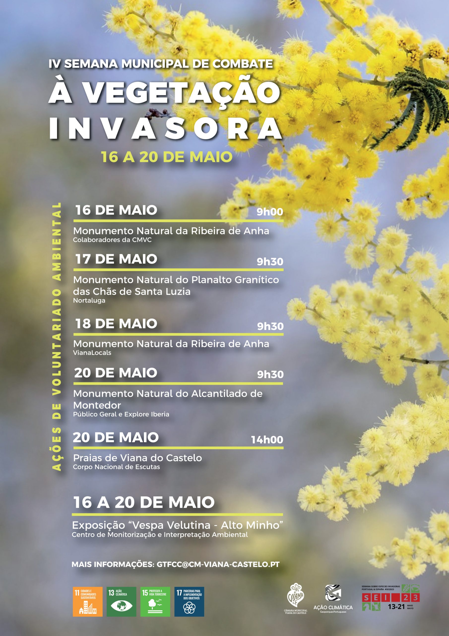 Viana do Castelo assinala IV Semana Municipal de Combate à Vegetação Invasora de 16 a 20 de maio